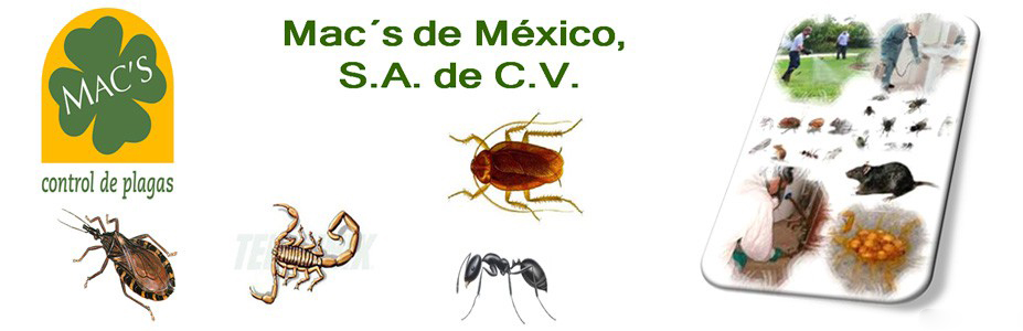 inicio